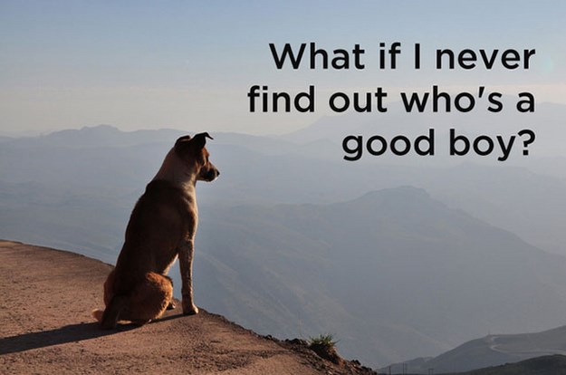 Funny-Thoughts-Of-The-Dog-019